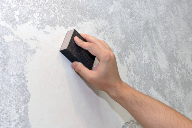 Environmental Consulting for Mold Prevention in Hackleburg, AL