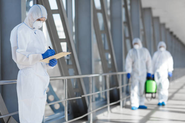Best Environmental Consulting for Mold Prevention  in Hackleburg, AL