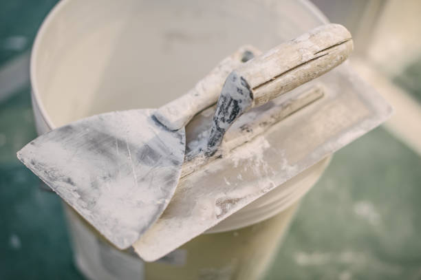 Best Crawl Space Mold Remediation  in Hackleburg, AL